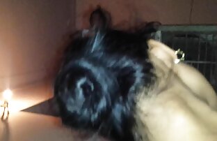 XXX Se los mejores videos xxx en español latino turnaron con mi esposa cachonda